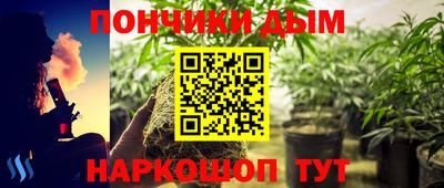 стафф Можга