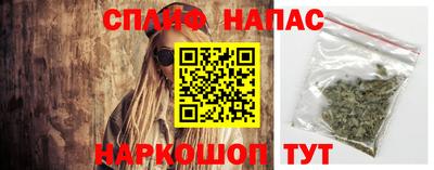 стафф Можга