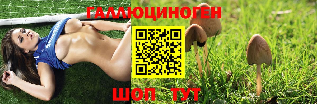 Галлюциногенные грибы GOLDEN TEACHER  Галлюциногенные грибы прущие грибы  Вход с VPN  Алапаевск 